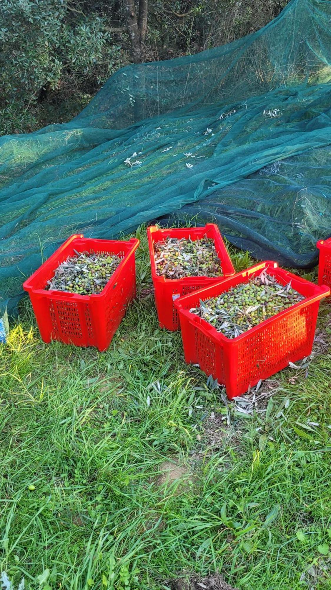 Agriturismo Podere Casalone 里密特 外观 照片